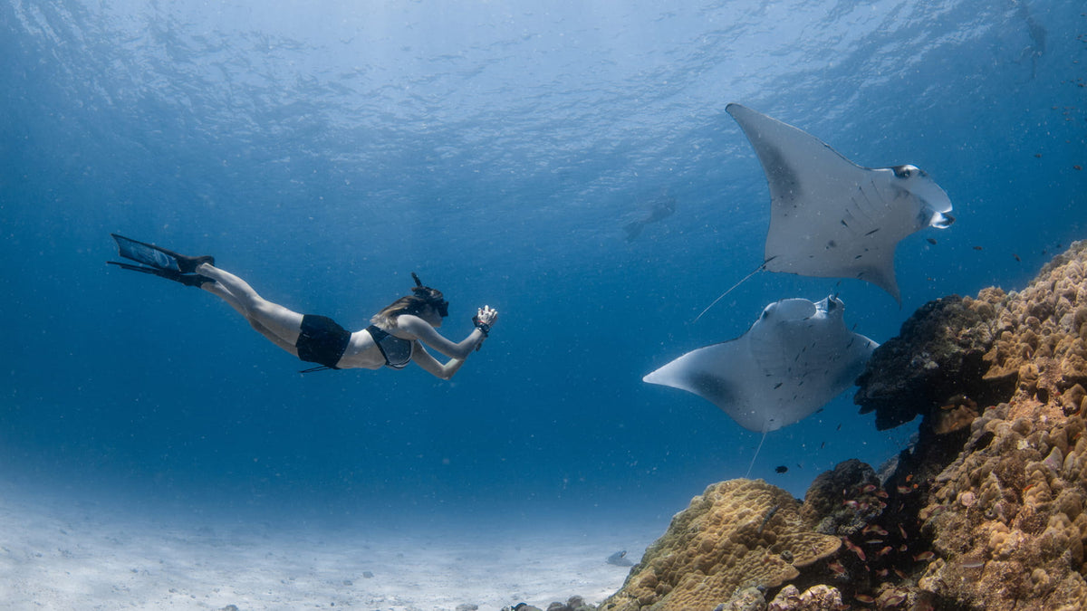 Four Seasons Resort Maldives at Landaa Giraavaru